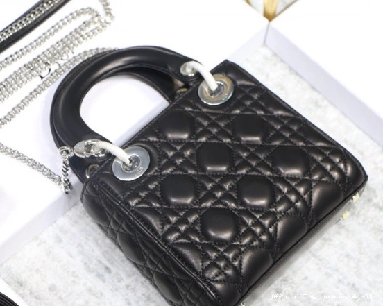 Tony Luxuries Mini With Lambskin diro Lady 0712